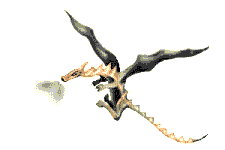 drago fiamma 5.gif